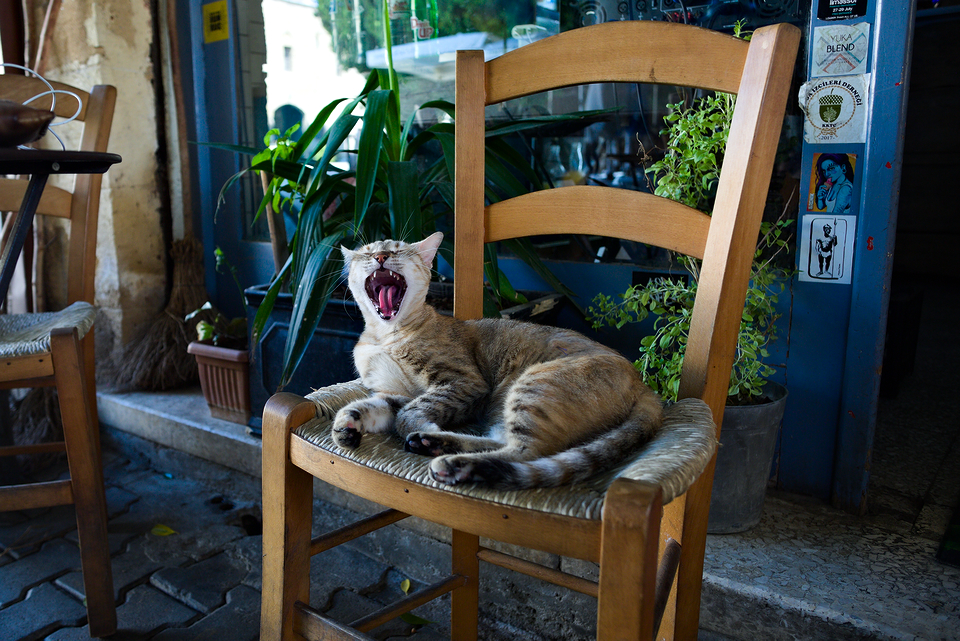 Nicosia, Ballı