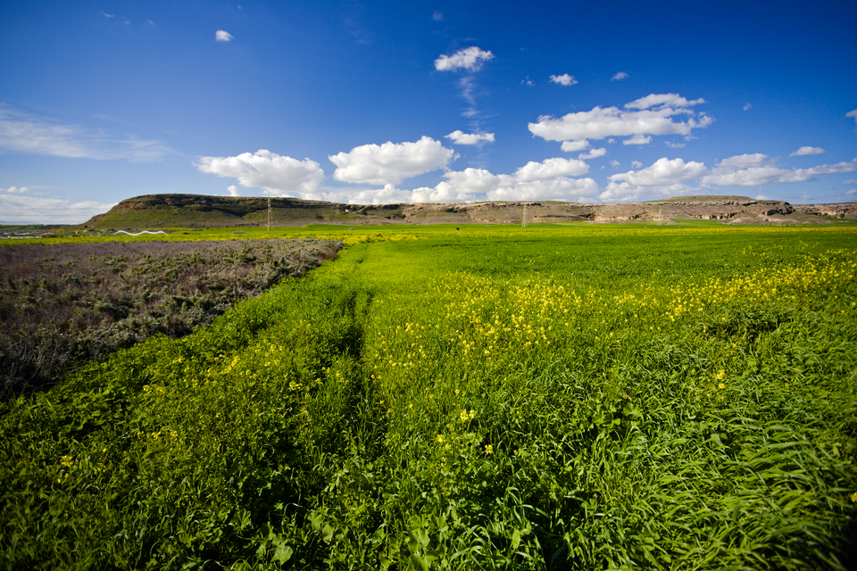 Potamia, near the Buffer Zone