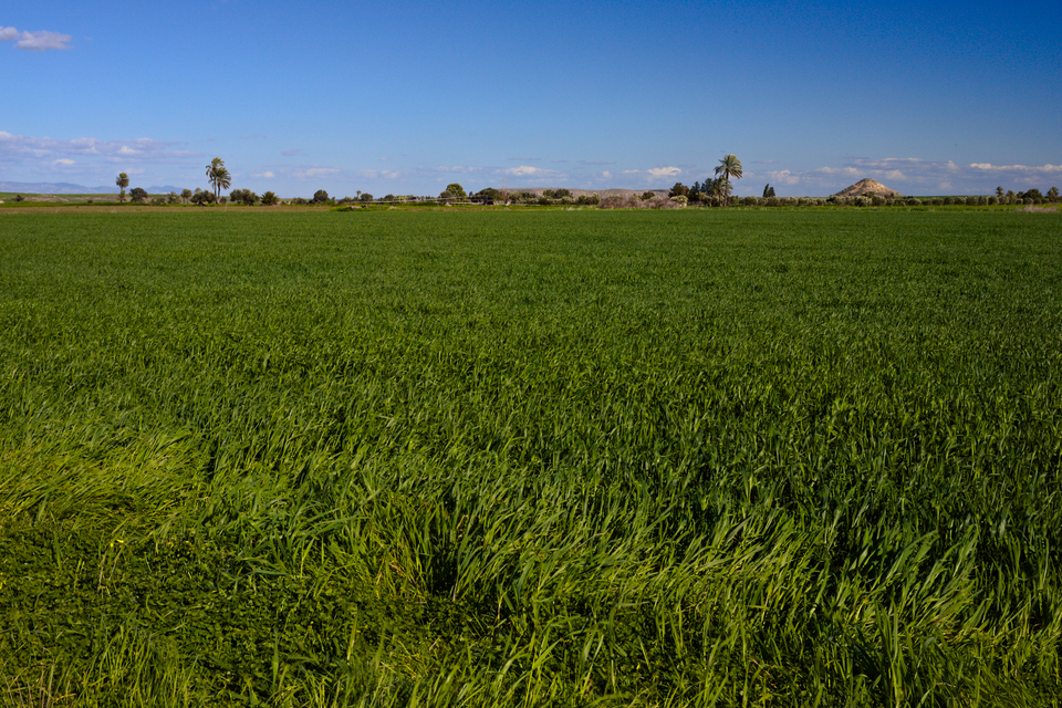 East of Potamia, but the North is more or less where the small peak is