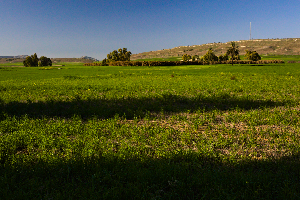 Deneia area, farm in the Buffer Zone