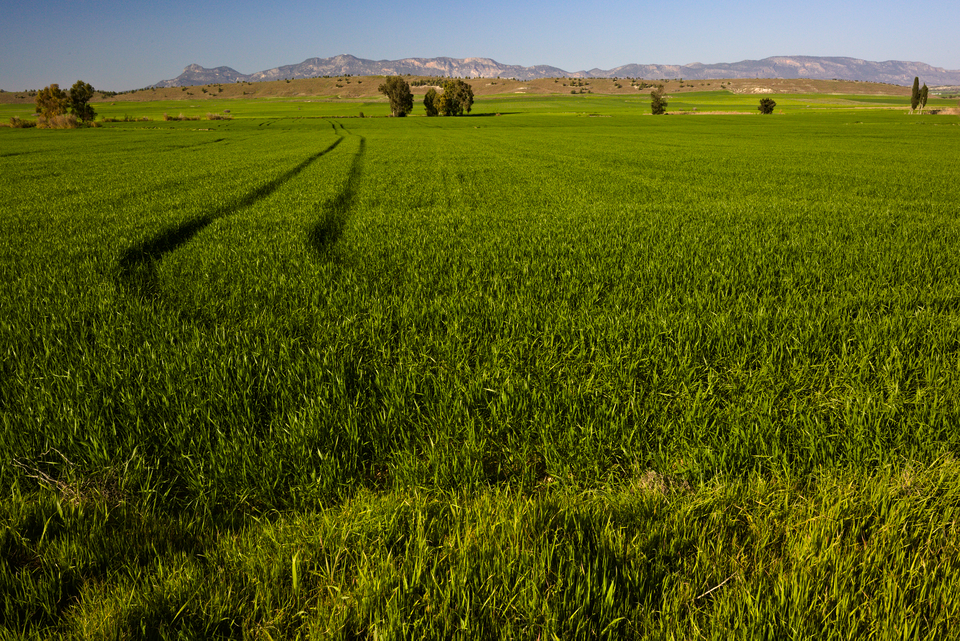 Deneia, Buffer Zone and Pentadaktylos mountains