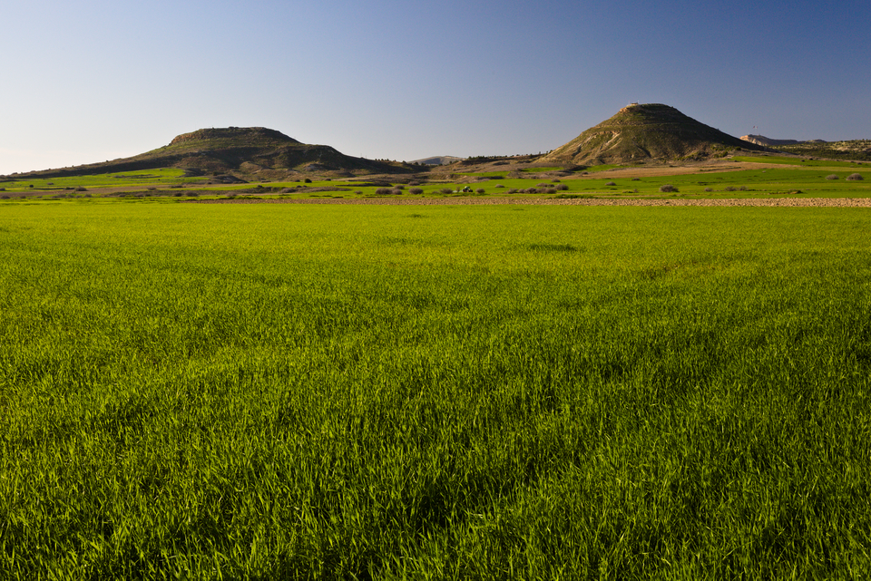 Deneia, North side peaks and Buffer Zone grass